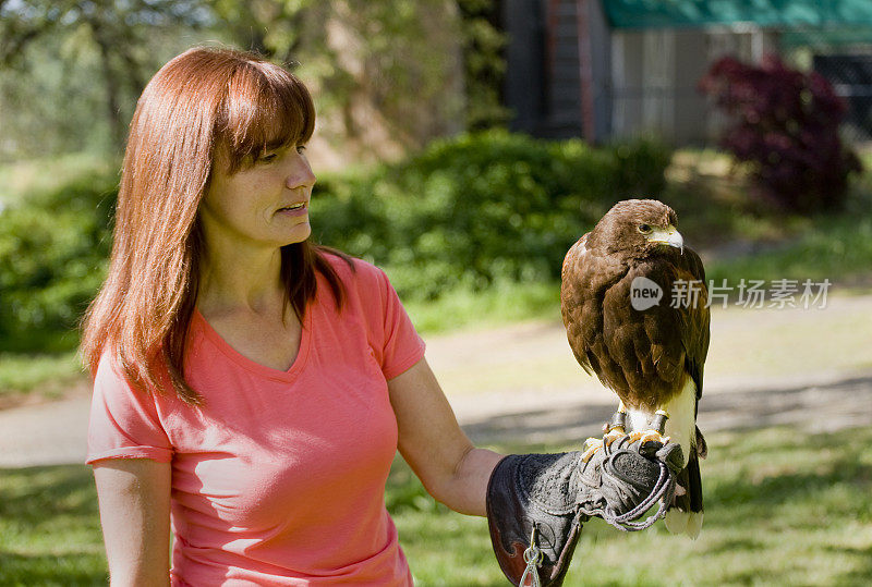 Falconer和Harris Hawk